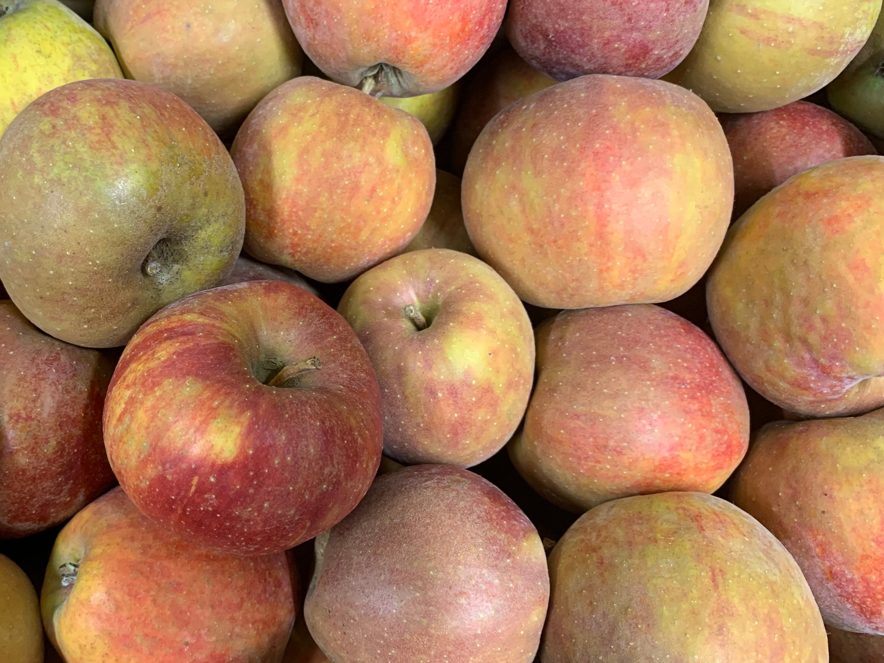 Pomme Boskoop Saveurs De Nos Terroirs