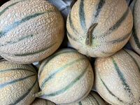 Melon boule d'or cal 12